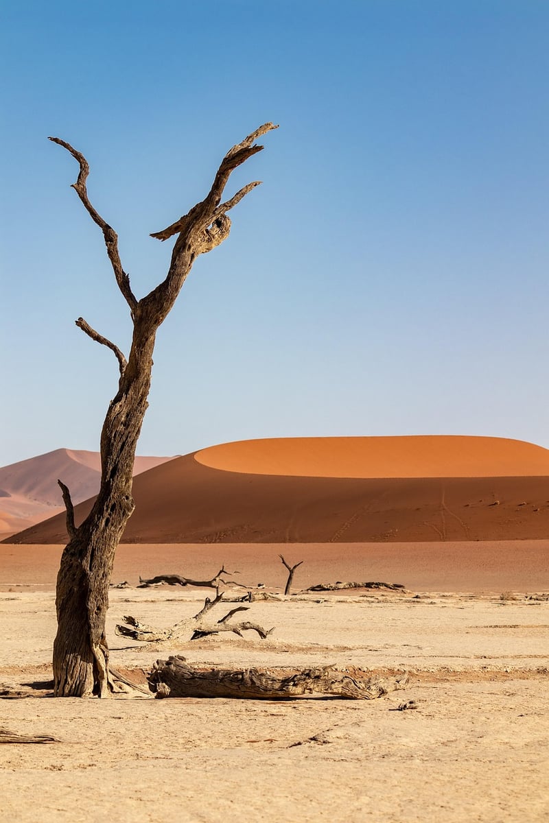 Deserts